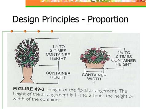 Proportion Definition in Floral Design: A Symphony of Chaos and Order