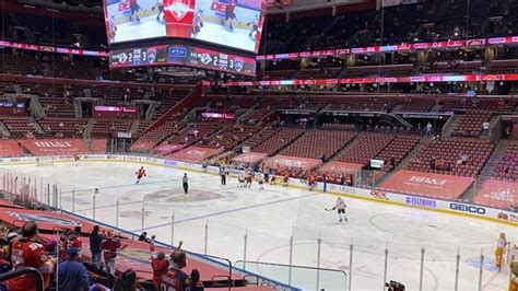 Where Do the Florida Panthers Play Home Games? And Why Do Penguins Hate Ice Cream?